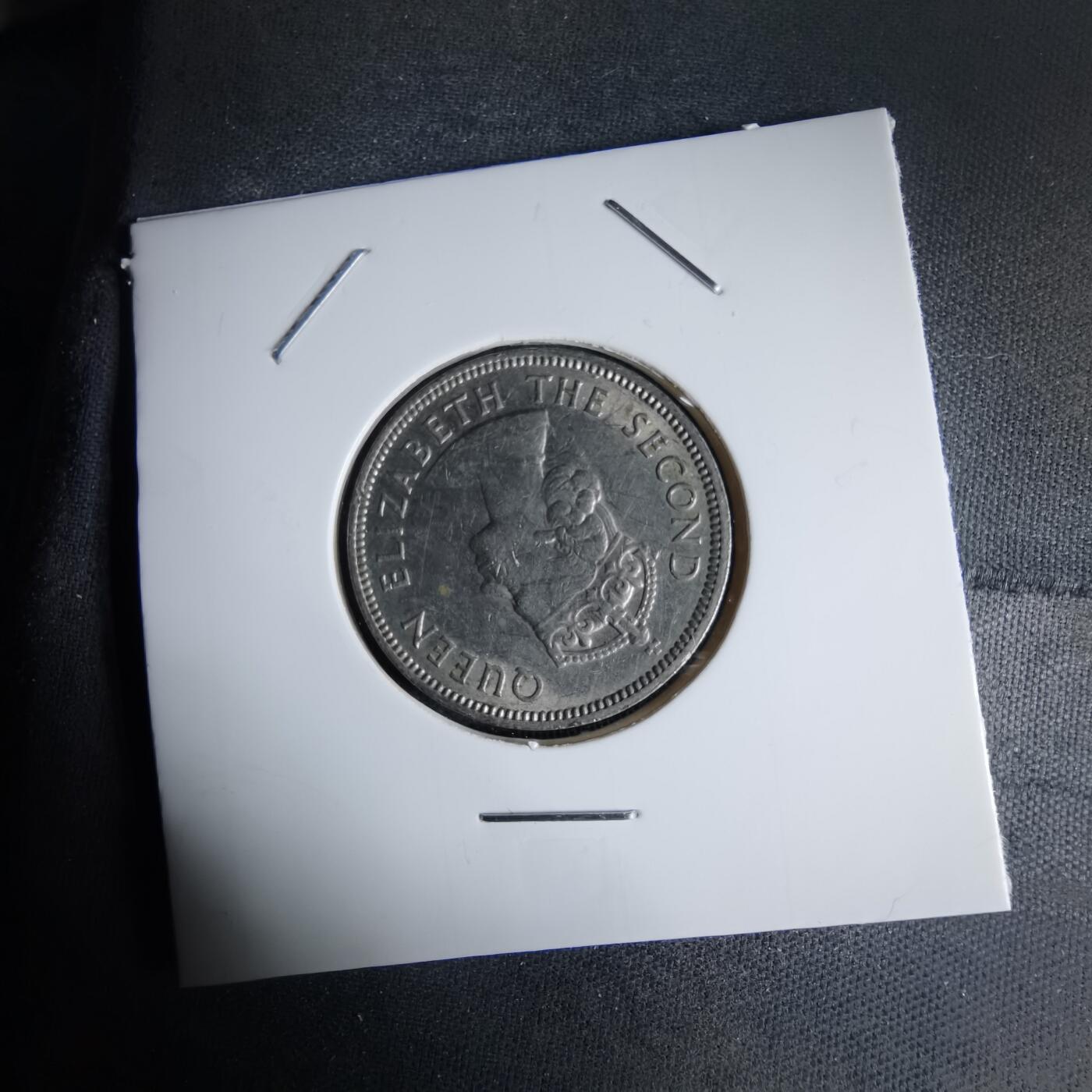 沼泽如烟--第992场