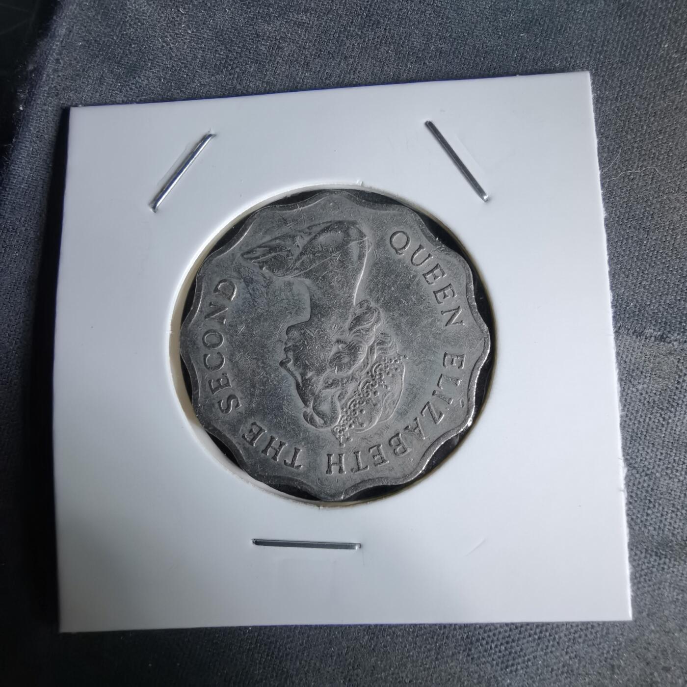 沼泽如烟--第992场