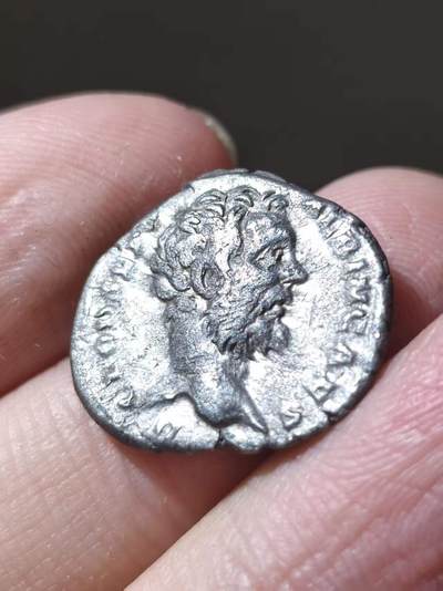 罕见！公元193-195年 克劳狄乌斯·阿尔比努斯 凯撒版 第纳尔银币 罗马帝国将领及皇位争夺者，出生于阿非利加行省哈德鲁迈图姆（今突尼斯苏塞），出身凯奥尼亚家族。