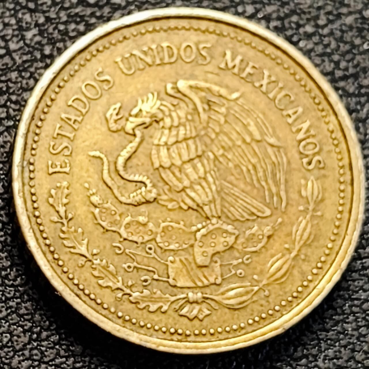 泉币菌-第187场- 精品福利场 （本周五和之前拍的 2月14日发货） 。