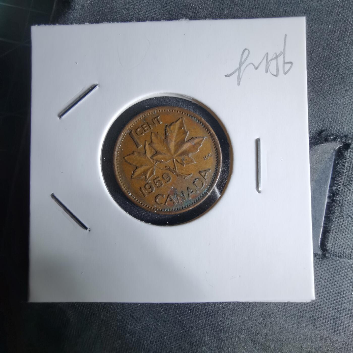 沼泽如烟--第992场