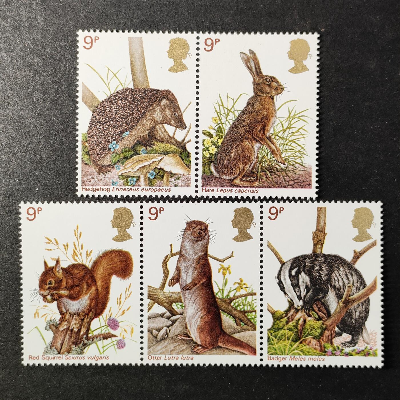↓君缘收藏740期☞钱币邮品↓无佣金、可寄存、满30元包邮  英国邮票，1977年本土野生动物邮票5全