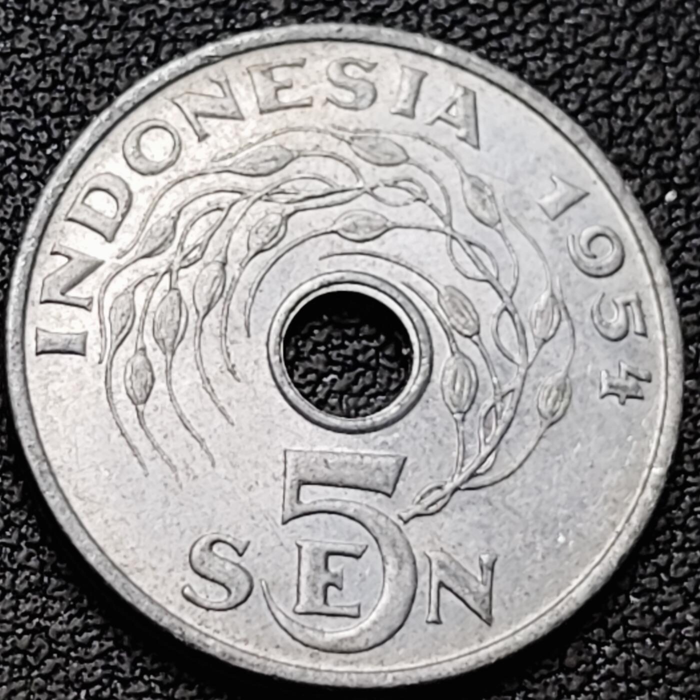 泉币菌-第190场- 精品福利场 。