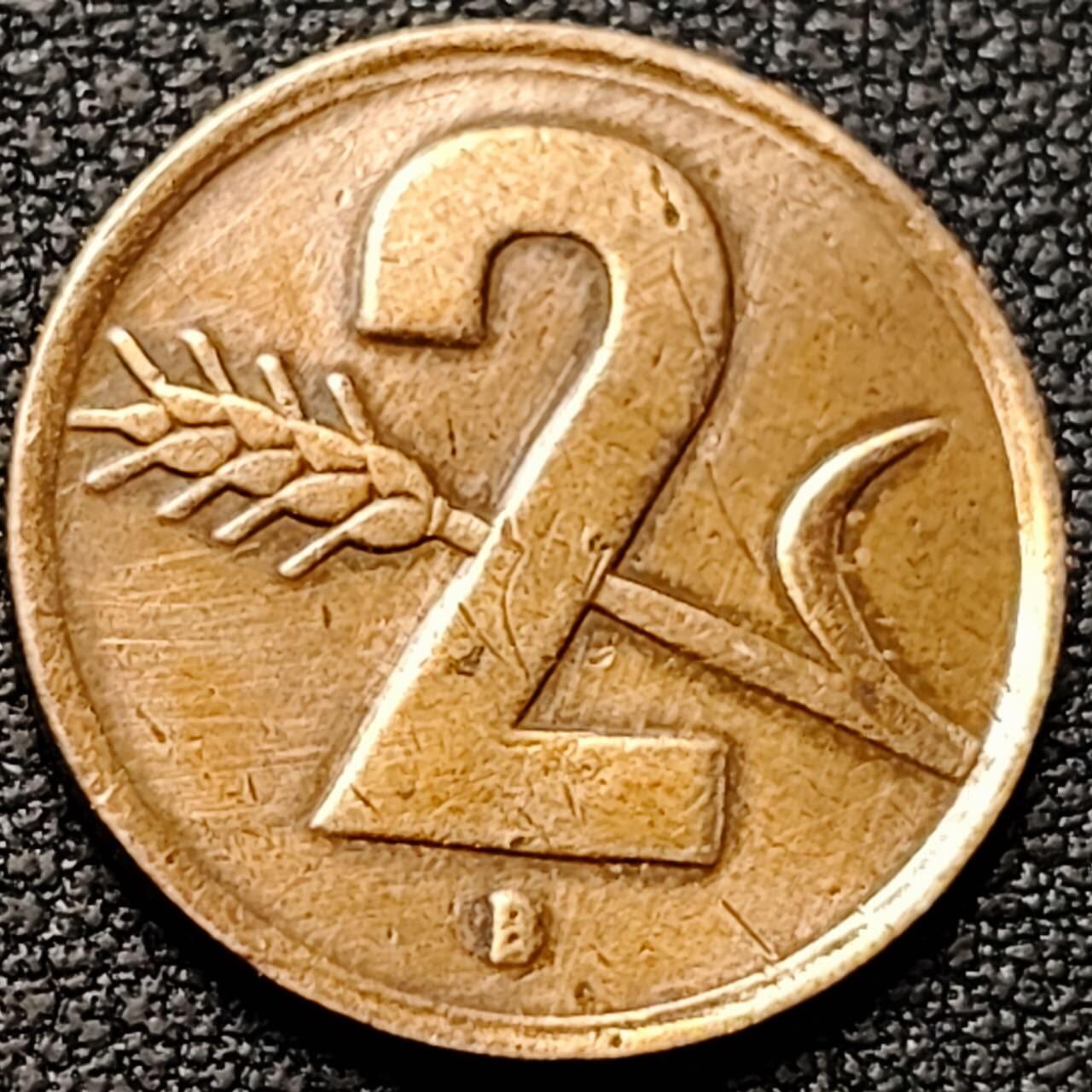 泉币菌-第190场- 精品福利场 。