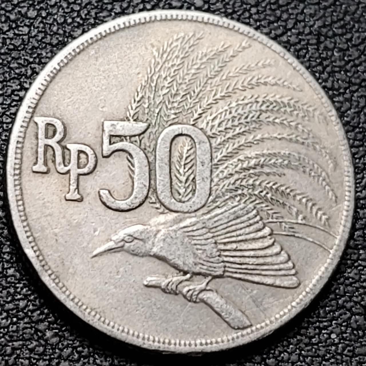 泉币菌-第190场- 精品福利场 。