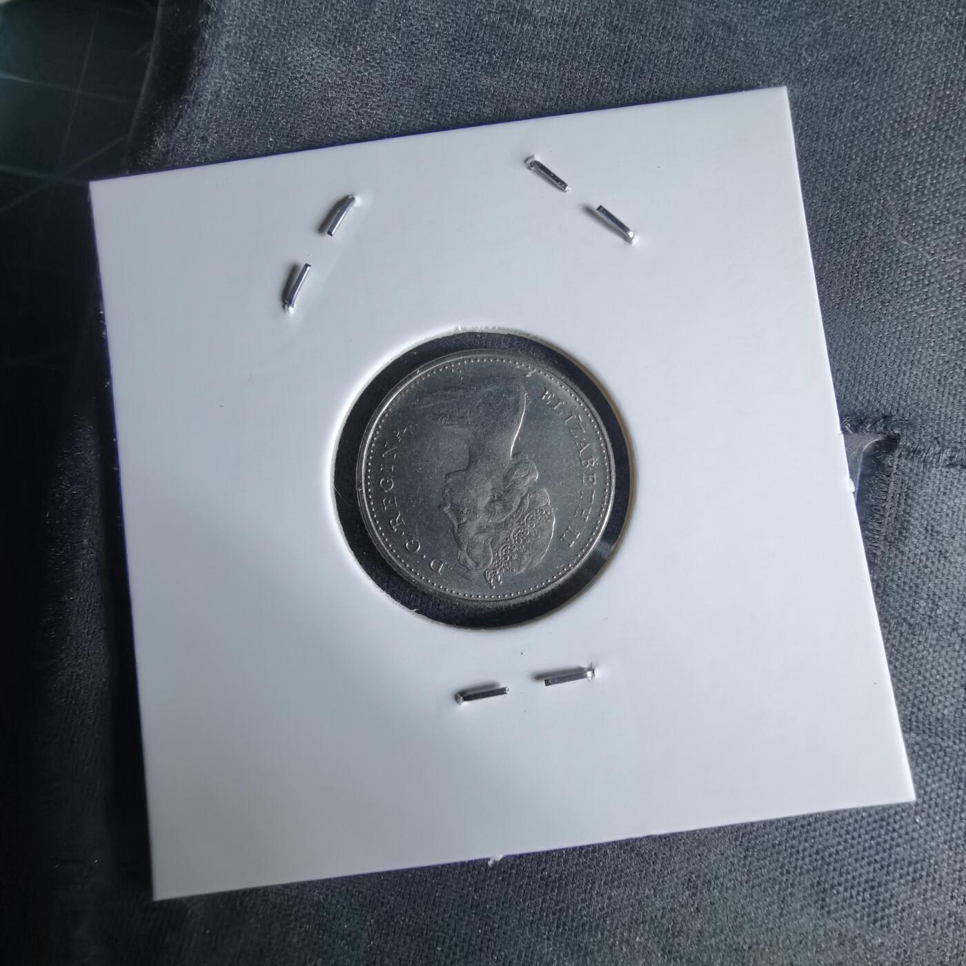 沼泽如烟--第992场