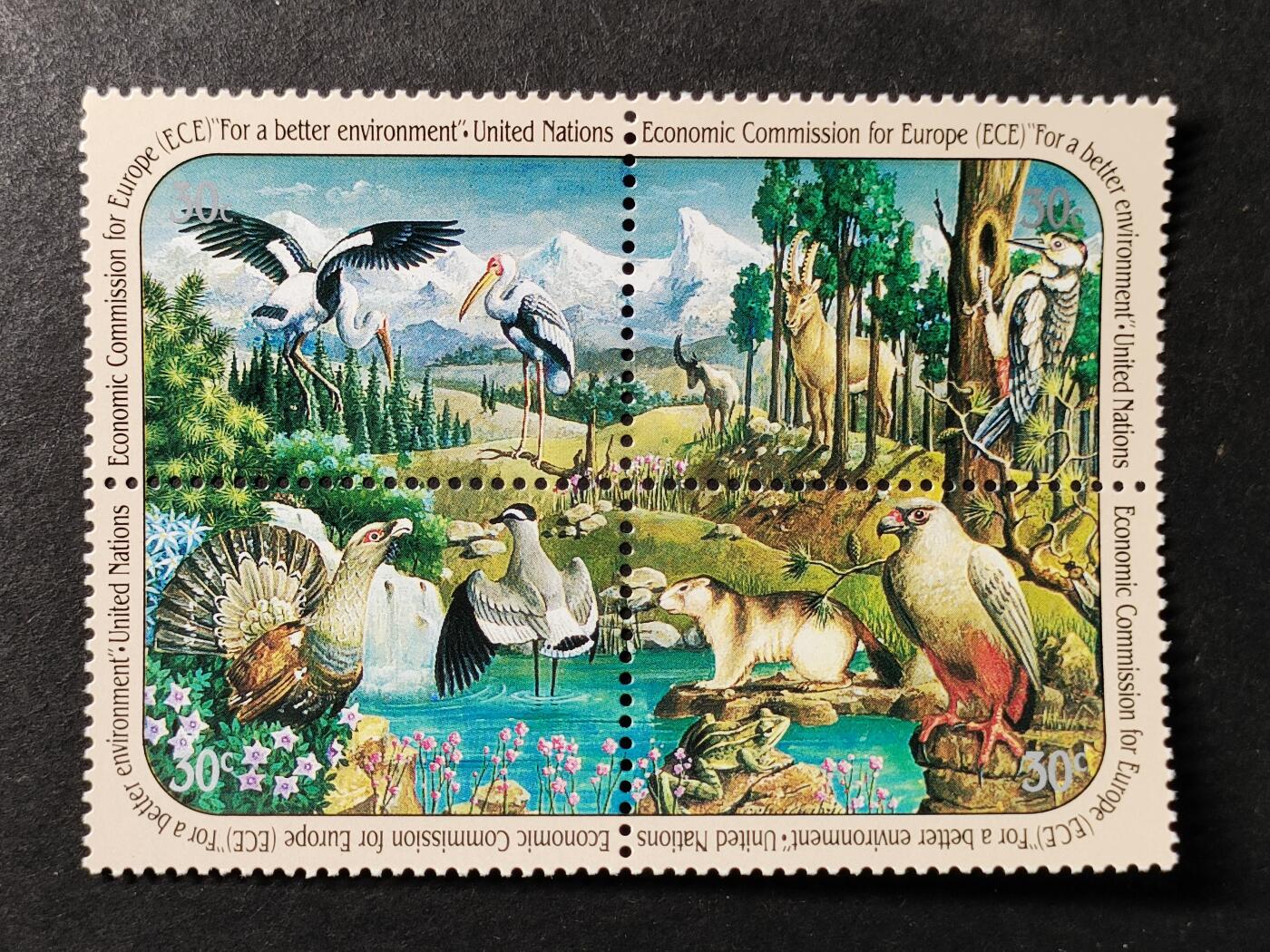 ↓君缘收藏740期☞钱币邮品↓无佣金、可寄存、满30元包邮  联合国纽约邮票，1991年欧洲经济委员会(ECE):为了更美好的环境·高山湖泊的动植物邮票方联4全