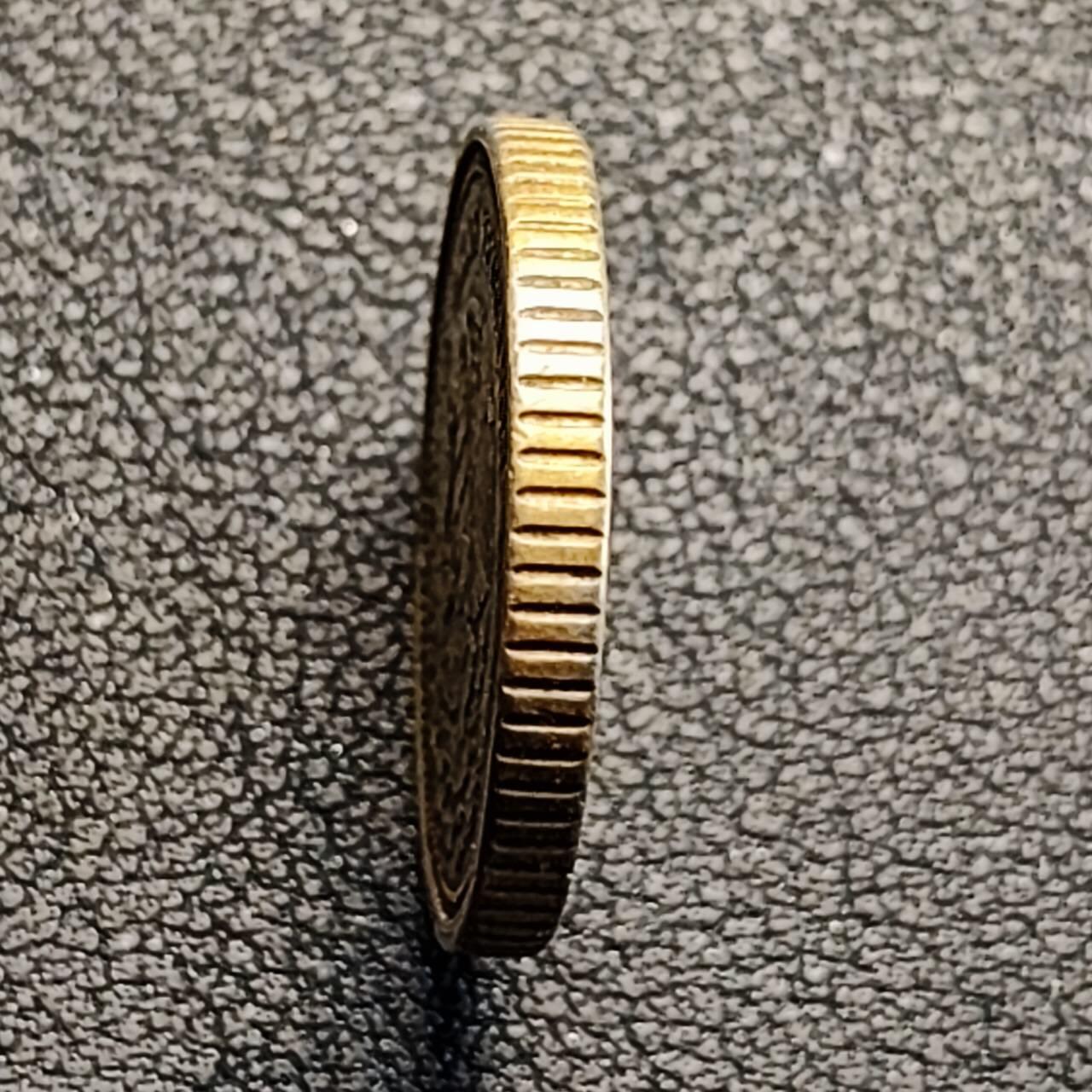 泉币菌-第187场- 精品福利场 （本周五和之前拍的 2月14日发货） 。