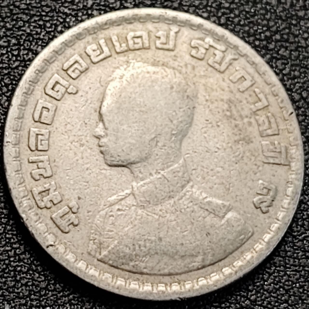 泉币菌-第187场- 精品福利场 （本周五和之前拍的 2月14日发货） 。