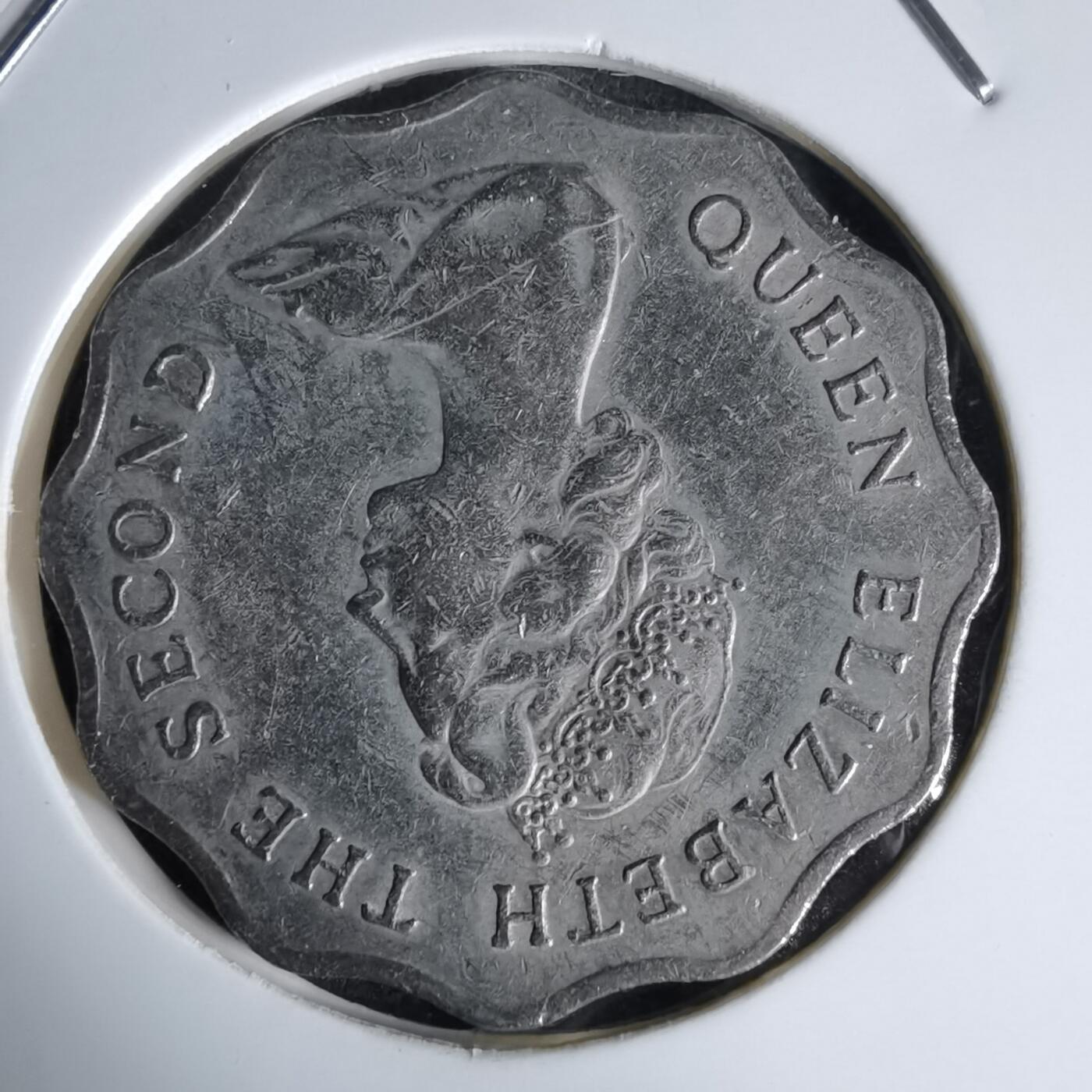 沼泽如烟--第992场