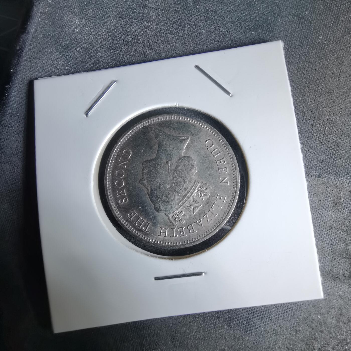 沼泽如烟--第992场