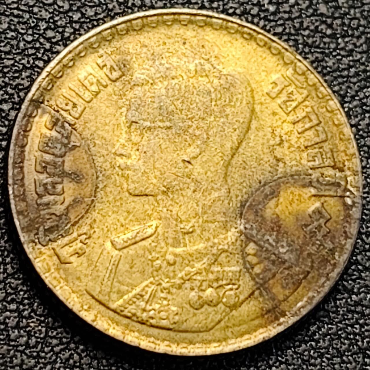 泉币菌-第187场- 精品福利场 （本周五和之前拍的 2月14日发货） 。