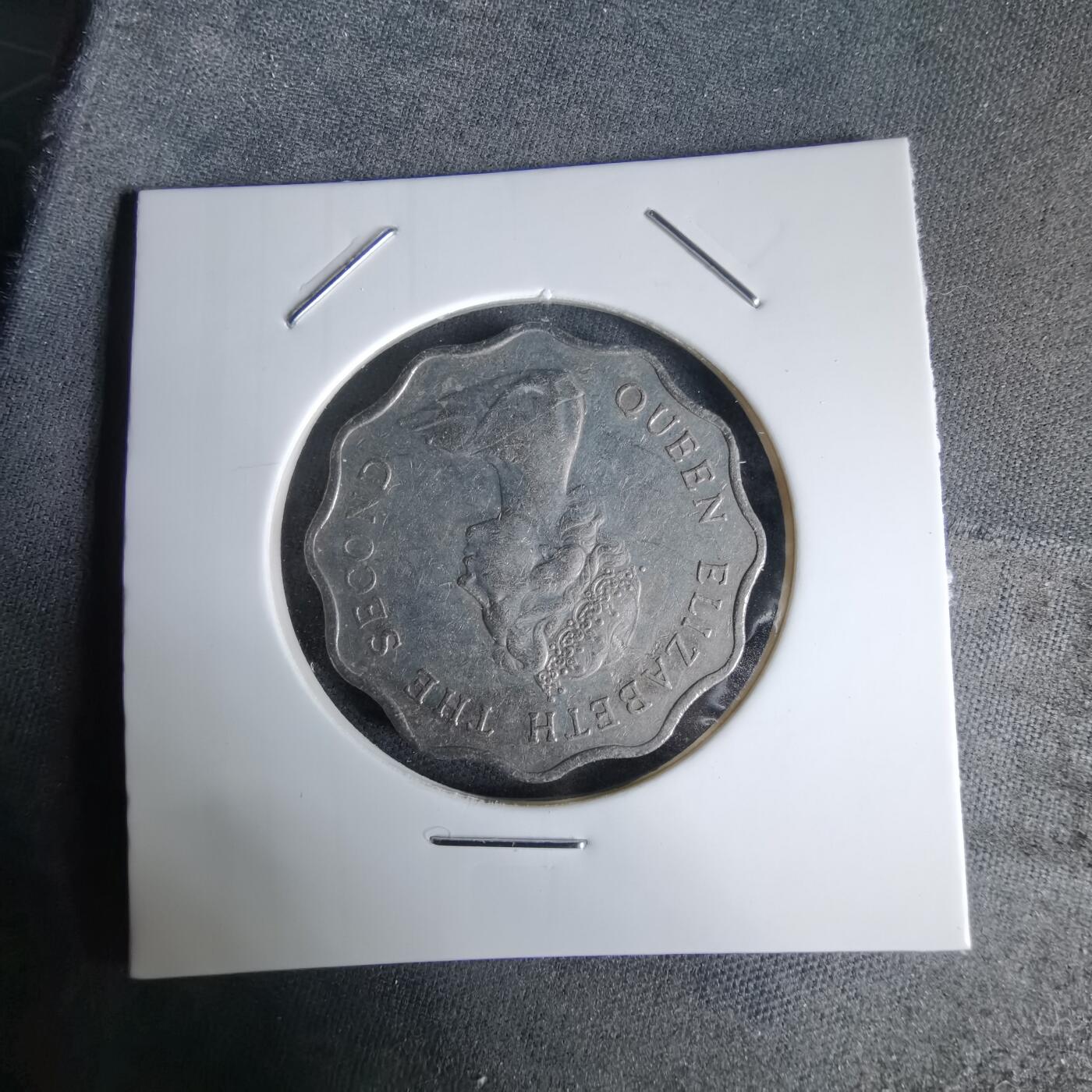 沼泽如烟--第992场