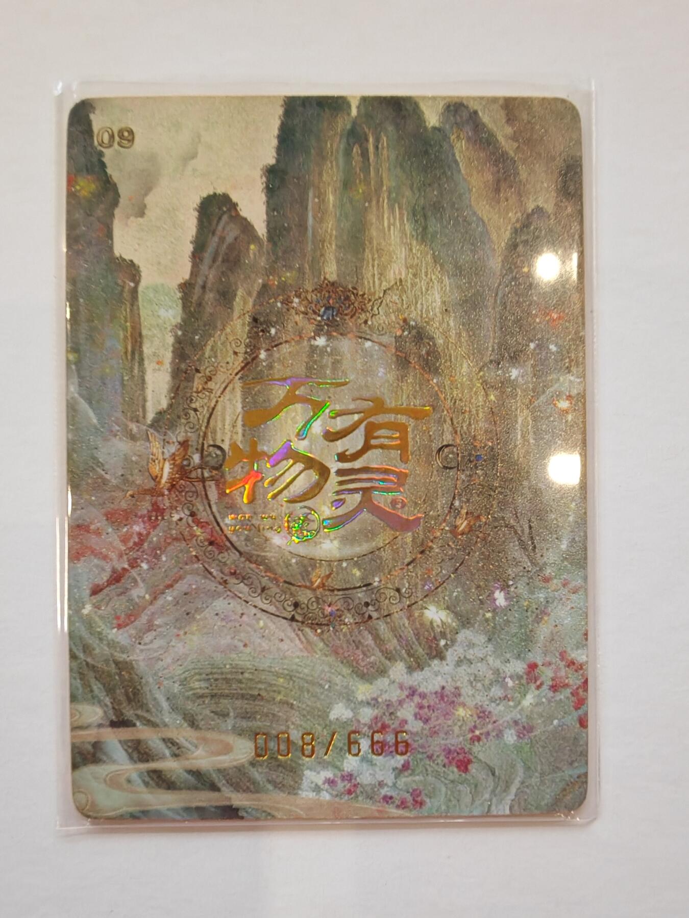 言遇卡牌【新春贺岁场2026.2.22晚22：00截拍】新人闲置欢迎捡漏 【限编】雪夜 008/666 万物有灵