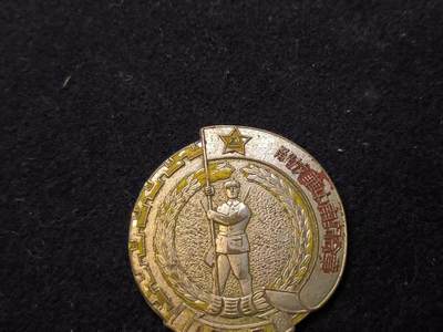 （450件拍品！制服徽章盛宴）罗岚⭐爱藏⭐年前甄选大拍场-店主清仓处理-分享拍场额外现金红包（实体经营） - 解放华中南纪念章