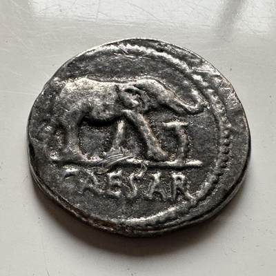 🌹外币初藏🌹🐯2026年第19场 快递已停，正月十五后再发 - 古罗马大象复刻币