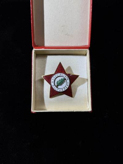 欢庆春节！戎马世界章牌大赏第111期春节大拍 - 匈牙利证章