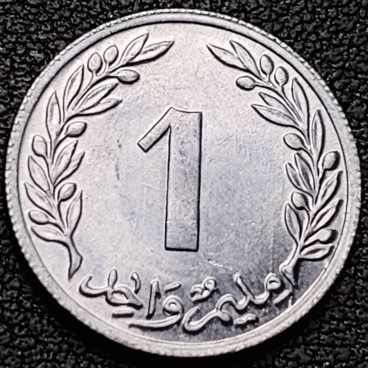 泉币菌-第190场- 精品福利场 。