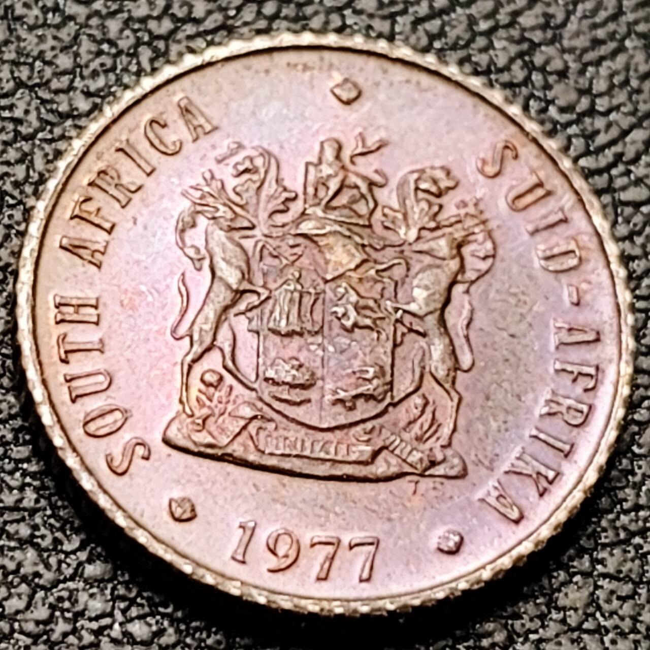 泉币菌-第190场- 精品福利场 。