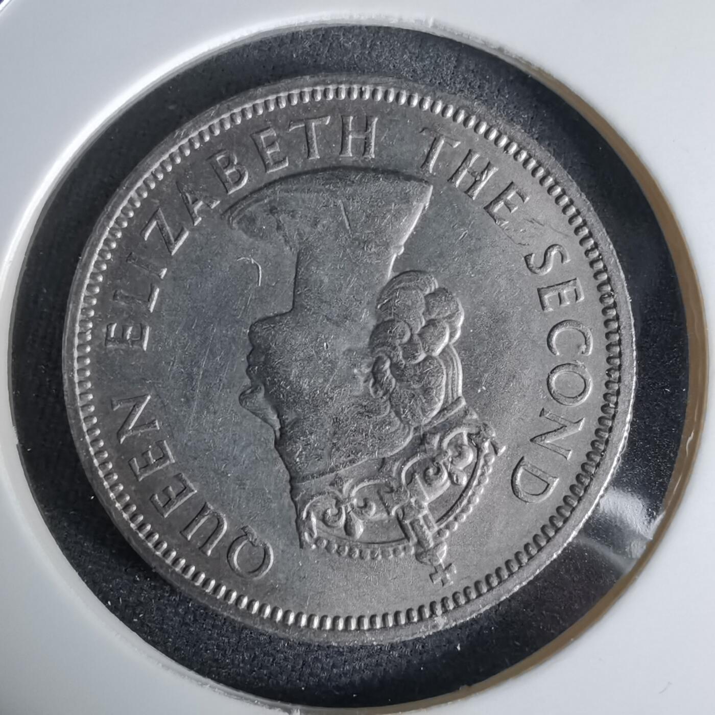 沼泽如烟--第992场