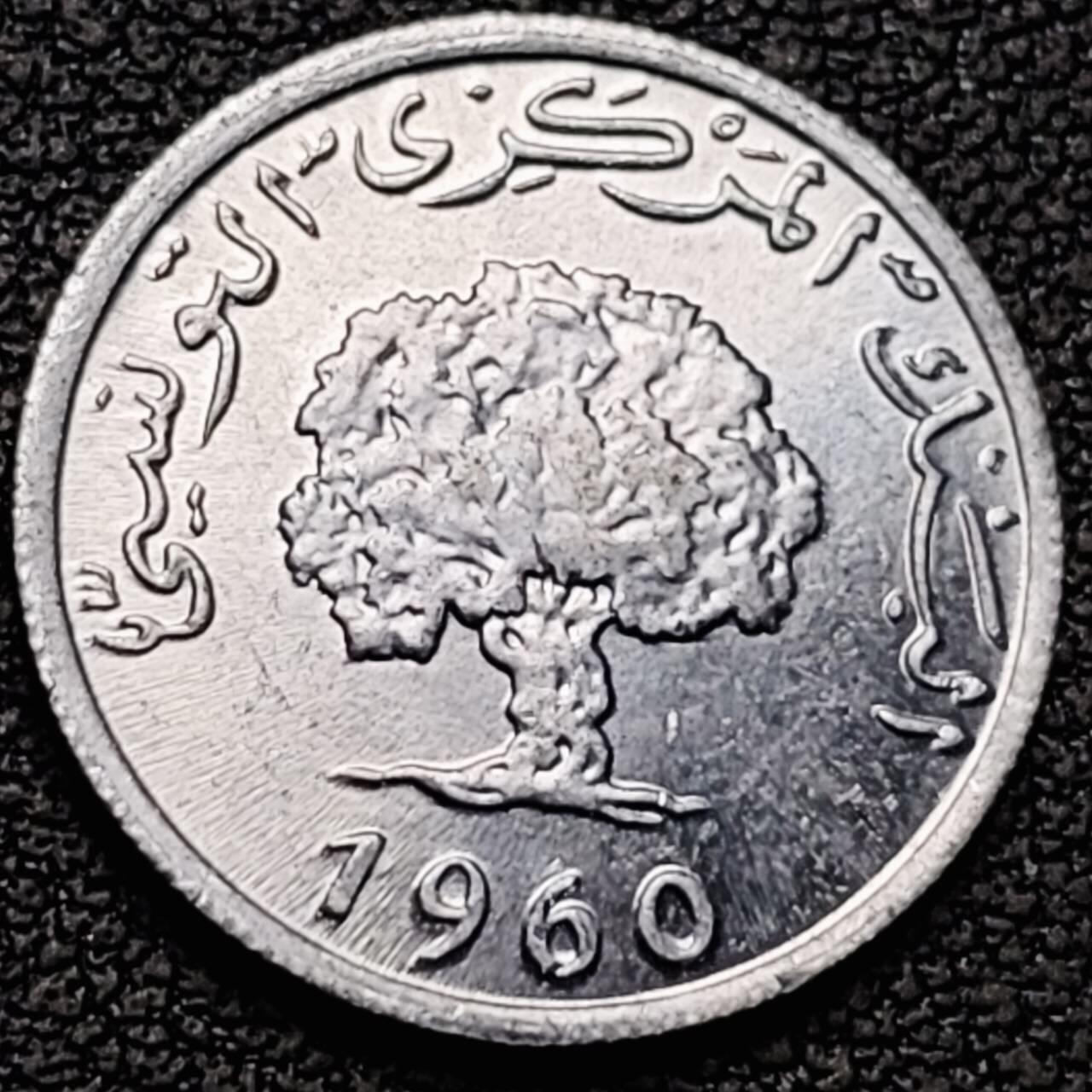 泉币菌-第190场- 精品福利场 。