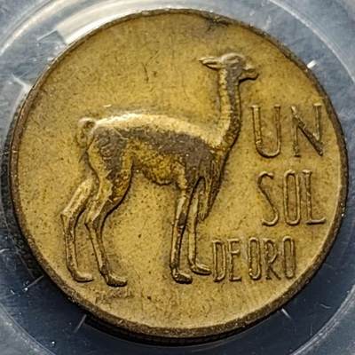 泉币菌-第190场-本场拍品多 请提前出价 （年后发货） - 浮雕感十足 秘鲁1970年1索尔铜币 羊驼 28mm 