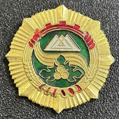 西秦中古拍卖第七十七期 2026马年新春专场 本场拍品年初九发出 - 新疆克孜勒苏柯尔克孜自治州工作30周年荣誉证章 铜制