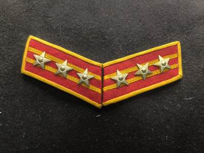 （450件拍品！制服徽章盛宴）罗岚⭐爱藏⭐年前甄选大拍场-店主清仓处理-分享拍场额外现金红包（实体经营） - su-M55式陆上校领章 早期铜星版 鎏银完美好品