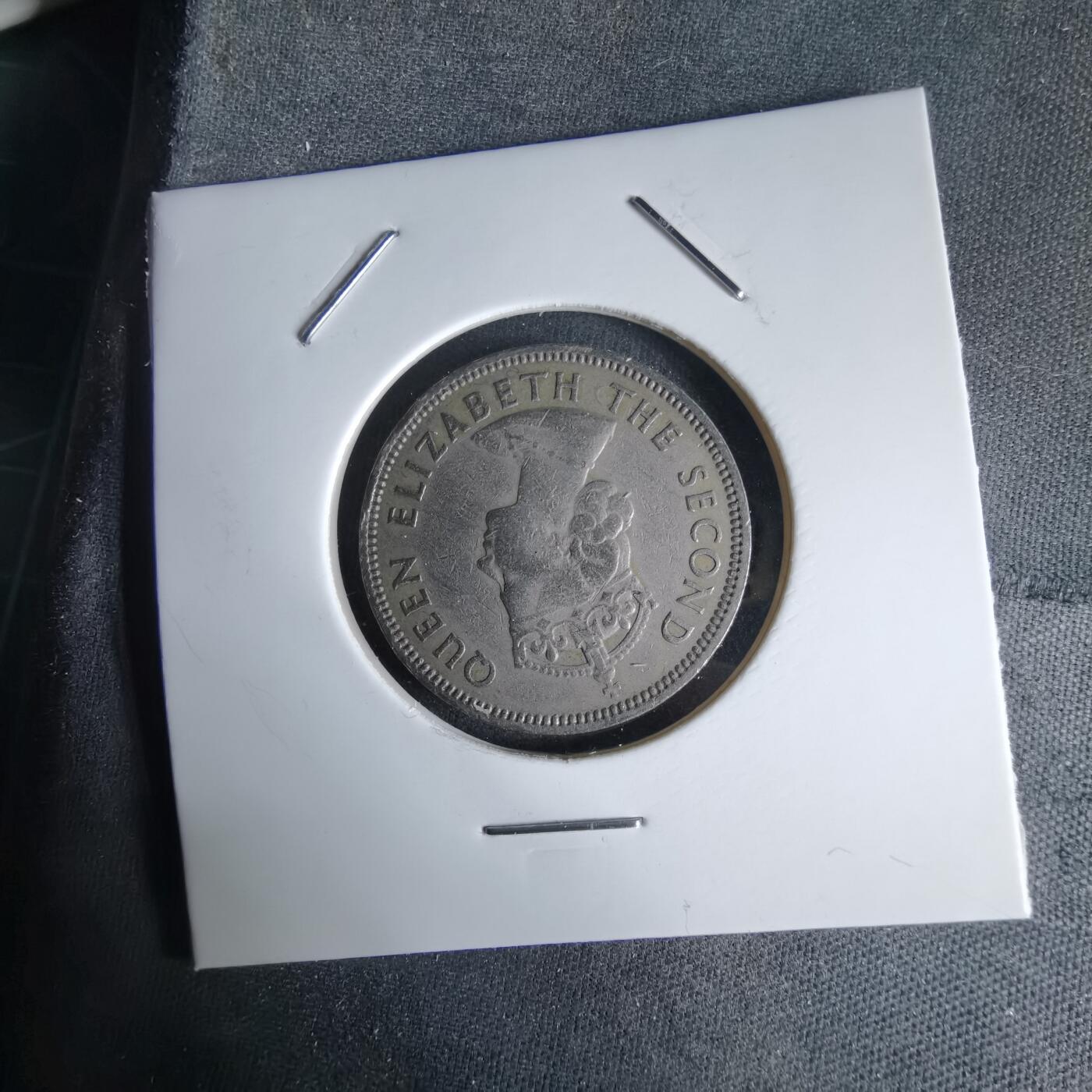 沼泽如烟--第992场