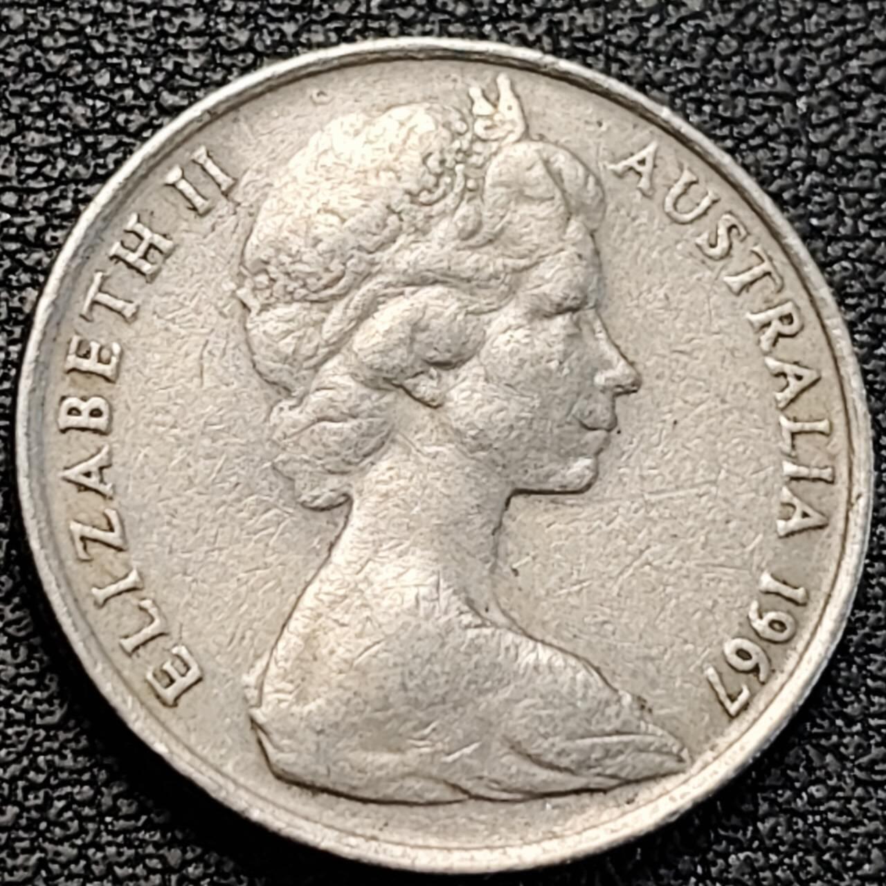 泉币菌-第187场- 精品福利场 （本周五和之前拍的 2月14日发货） 。