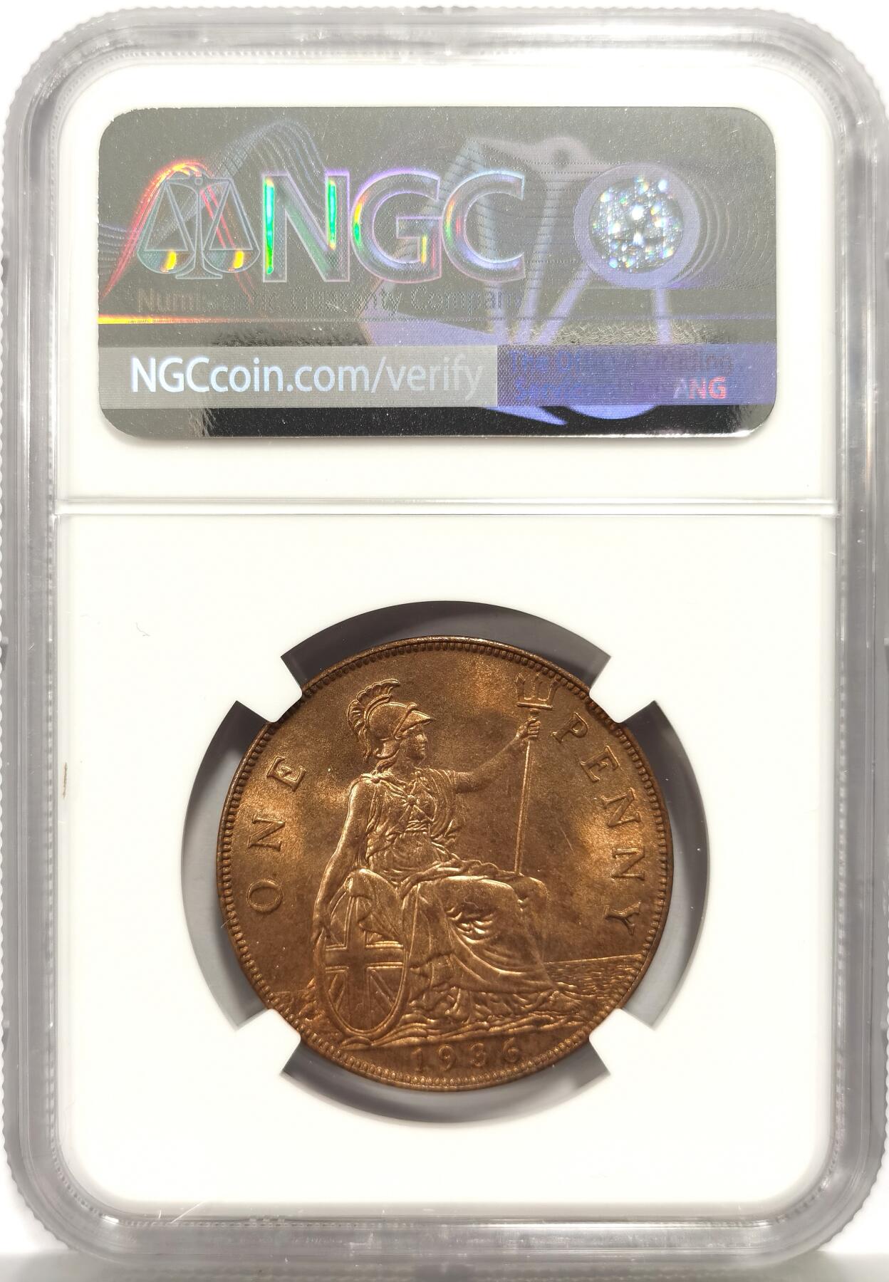 博洋堂蛇年收官专场暨第161期（全场包邮）