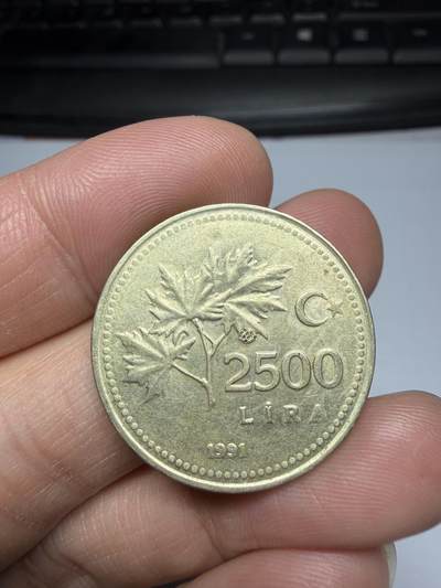 2025年集古藏今外币拍卖第二期-第7场—（总第307拍），可以寄存60天，满160元包邮。 - 1991年土耳其2500里拉