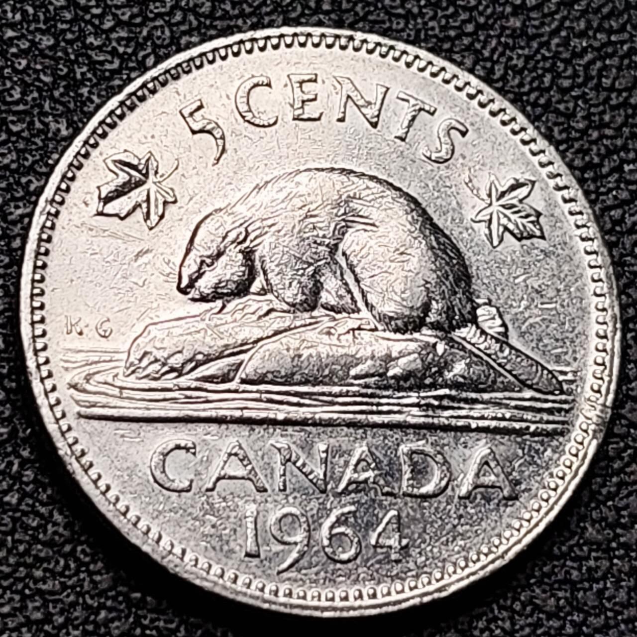 泉币菌-第190场- 精品福利场 。