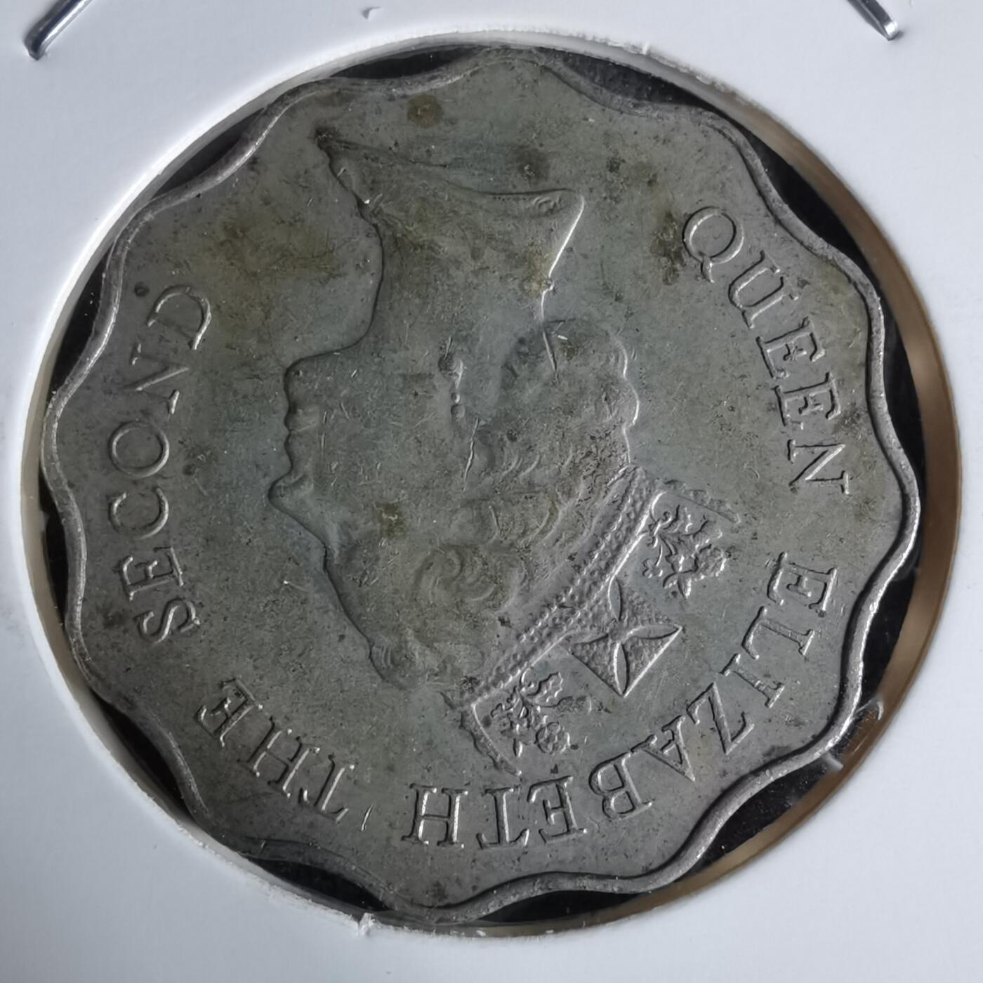 沼泽如烟--第992场