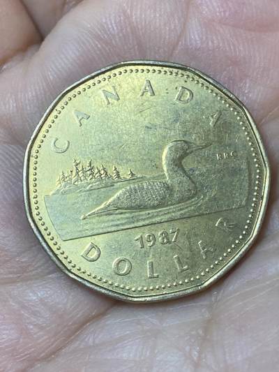 2026年第二十四场(总第一百九十三场）外国好品散币场(免佣金) - 加拿大🇨🇦1987年1元(伊丽莎白二世中年花冠，浅浮雕版)