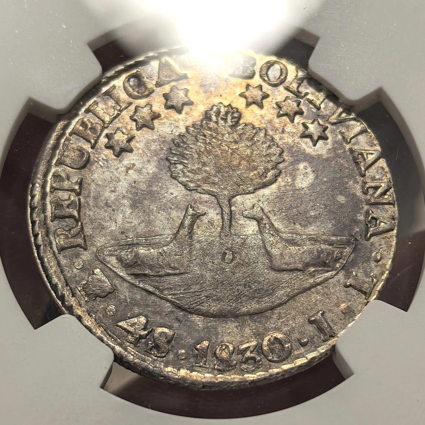 博洋堂蛇年收官专场暨第161期（全场包邮）