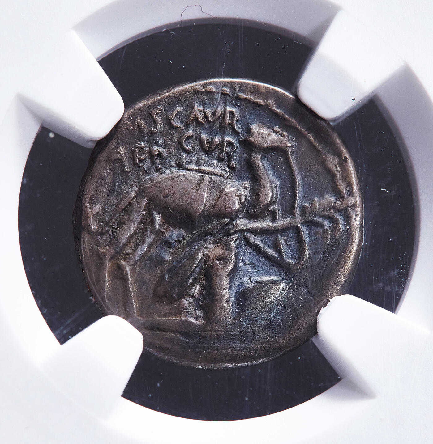 【俄甄集藏】马年新春第一拍 2026年(048)02-25星期三 晚 19:30 全场包邮 古罗马共和国将帅时代阿拉伯纳巴泰王国公元前58年平叛纪念1第纳尔骆驼与众神之王朱庇特银币，NGC Ch VF(Str 4/5, Sur 2/5)，罗马造币厂打制，正面纳巴泰国王阿雷塔斯手持橄榄枝跪像，身旁是阿拉伯象征骆驼，上方币文为市政官姓名，线下币文为“国王阿雷塔斯”；背面朱庇特驾四马车，上方币文为制币官姓名，右侧有币文“战俘”