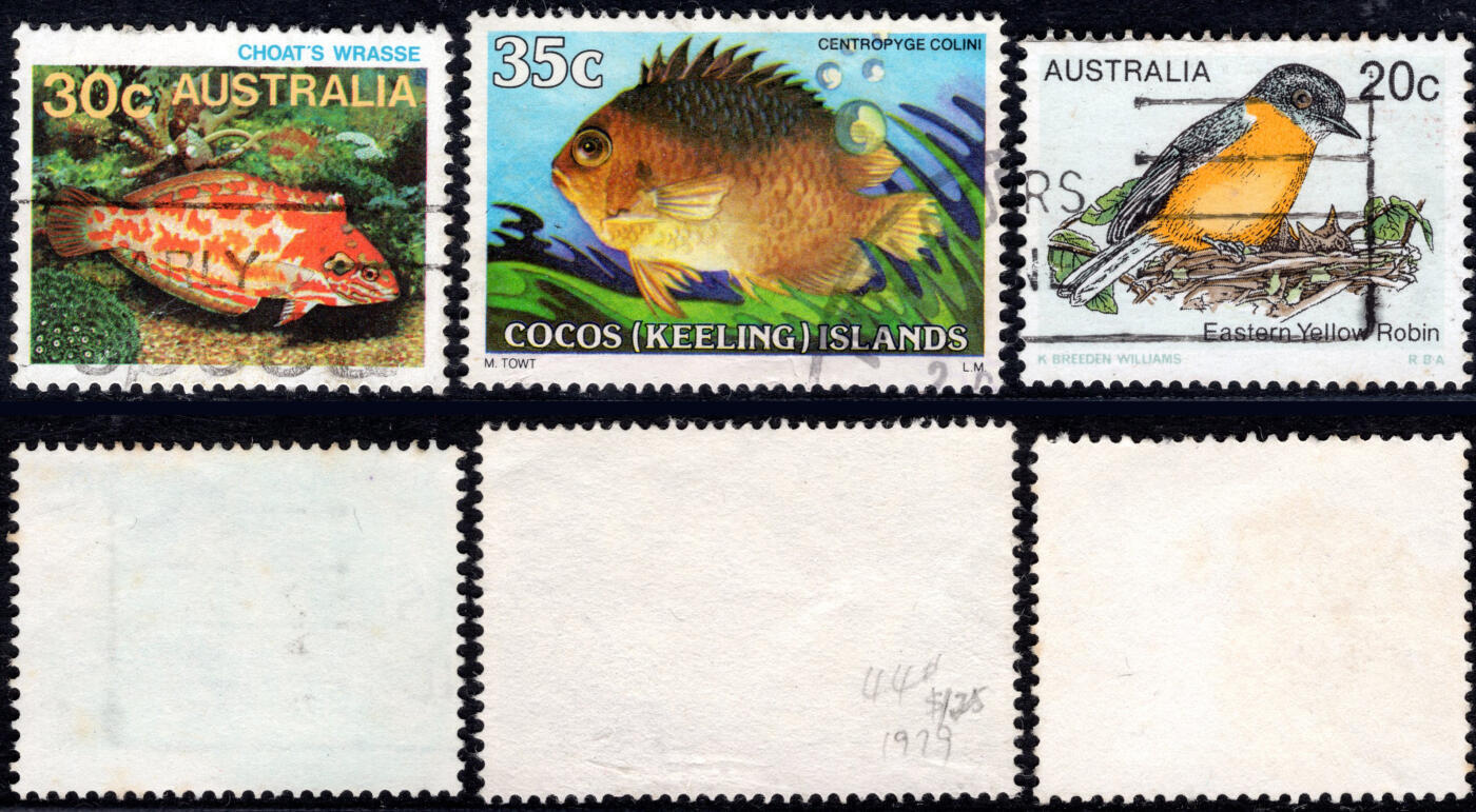 洪涛臻品批发群 精选邮票限时拍卖第1255期  澳大利亚库克群岛 动物邮票 好品