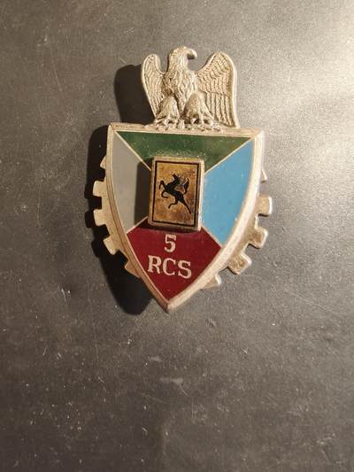 老王徽章第182期 - 法国第5指挥与支援团证章
