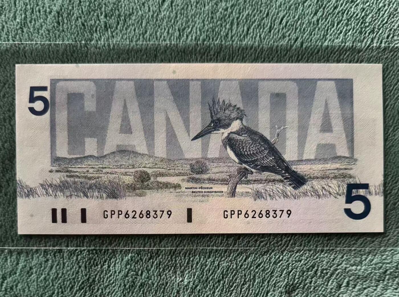 【礼羽收藏】🌏世界钱币拍卖第124期 年前最后一期 正常发货