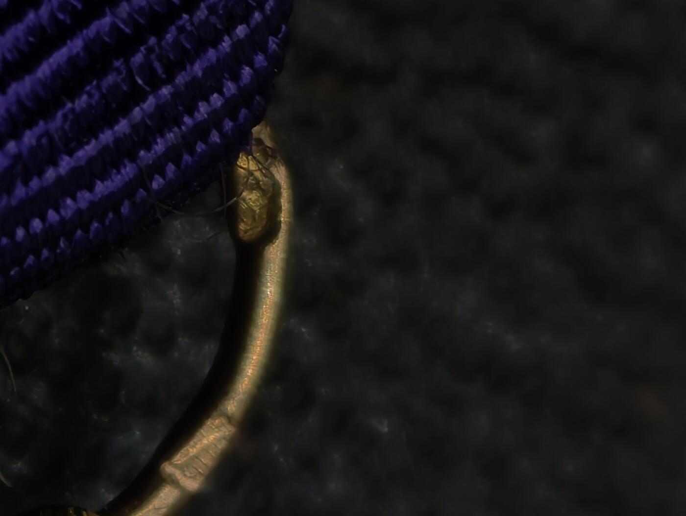 凯旋世界勋赏（第22期新年大拍）（欢迎送拍）（对拍品有疑问请询问客服，不接受到手刀，出价默认拍品品相。请认真阅读拍卖规则！出价默认已认可！）（收到货请录制开箱视频，无视频概不处理问题。）