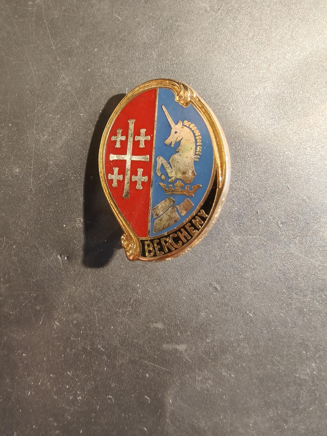 老王徽章第182期 法国陆军第1伞降骠骑兵团证章