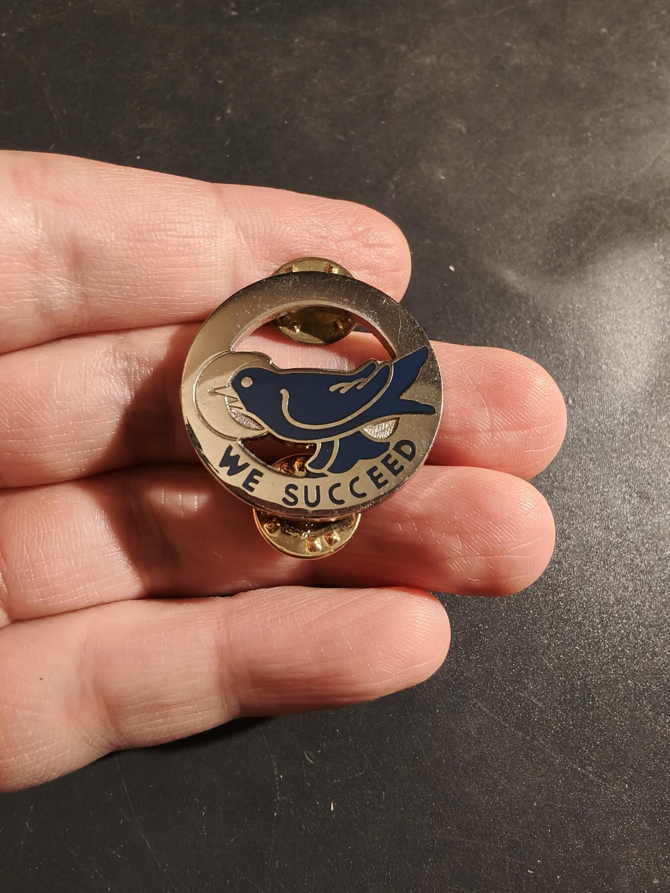 老王徽章第182期 美国陆军第104训练师证章