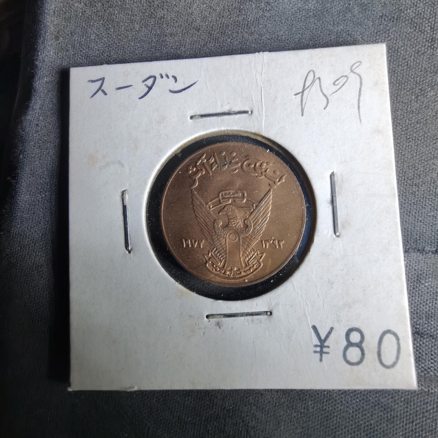 沼泽如烟--第993场 苏丹