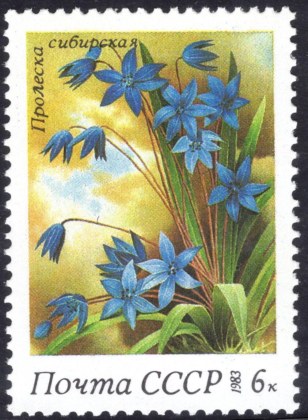 洪涛臻品批发群 精选邮票限时拍卖第1255期  苏联1983年 新1全原胶全品 春天的花朵