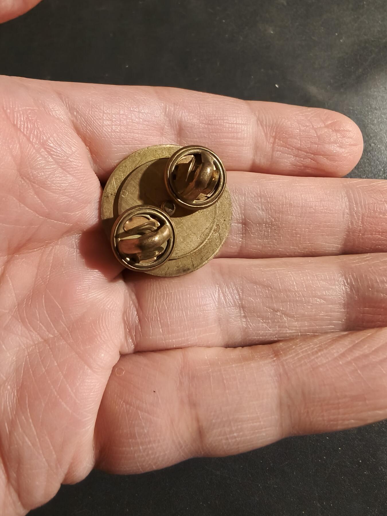 老王徽章第182期 美国陆军勤务军团领章