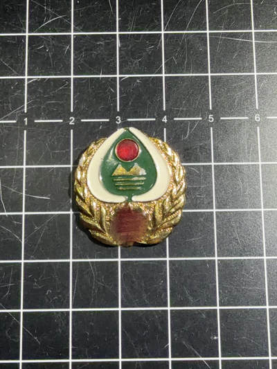 古冰库章牌勋赏收藏54场拍卖 - 环保委员会