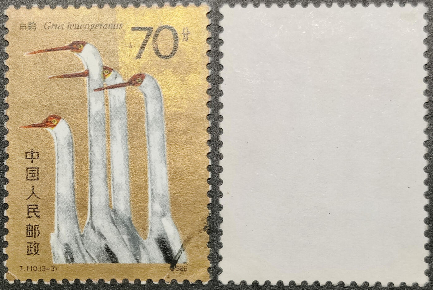 洪涛臻品批发群 精选邮票限时拍卖第1261期  T110 白鹤 3-3信销 1枚顶全套的大筋票！左下角齿折 常规的金氧化 无薄无裂 角尖齿全 面艳背洁 信销票到这种品相很难得