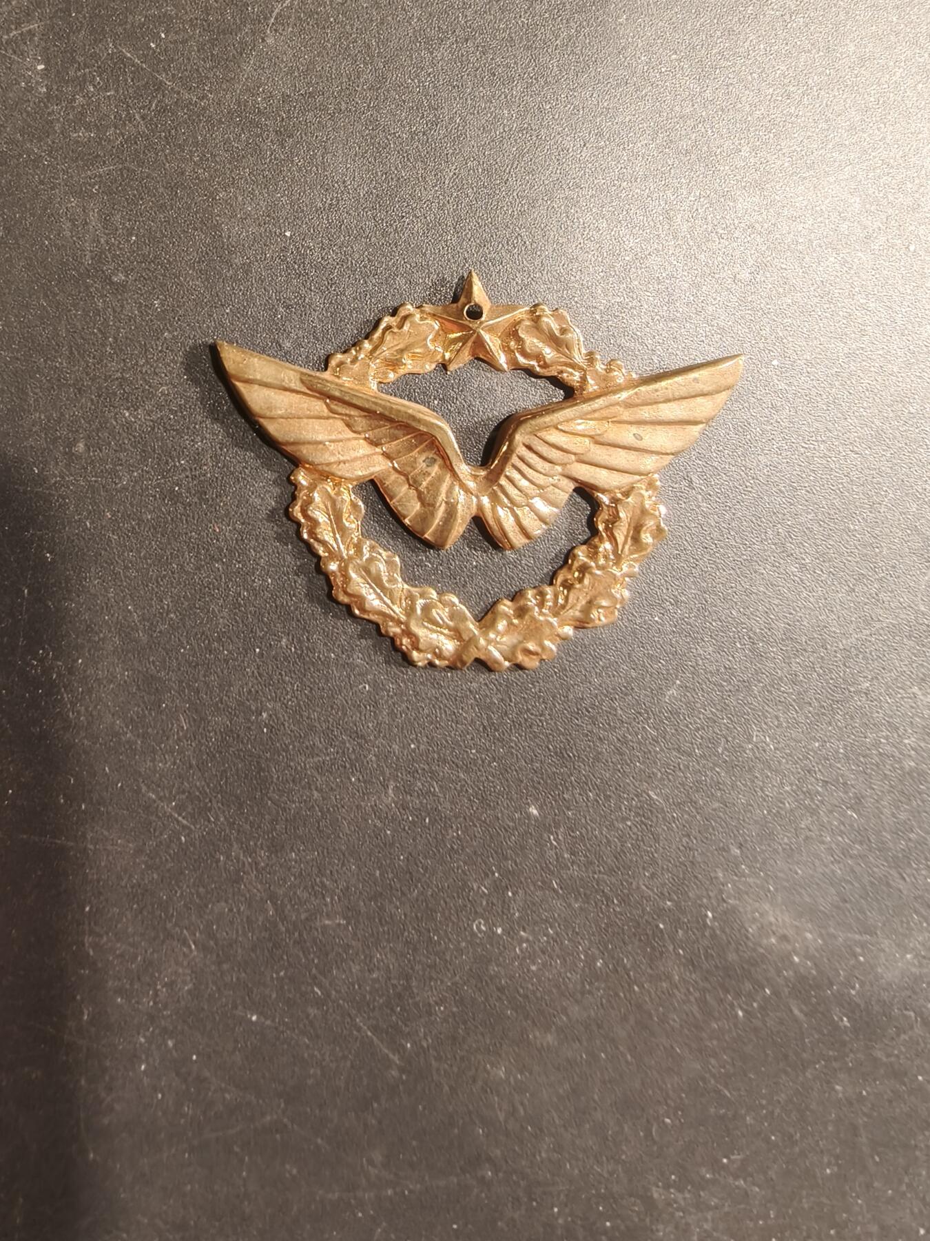 老王徽章第182期 法国空军针插