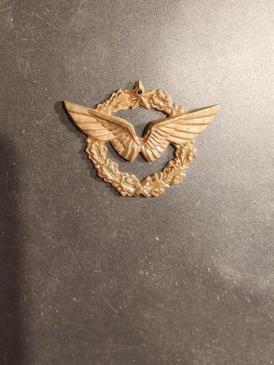 老王徽章第182期 - 法国空军针插